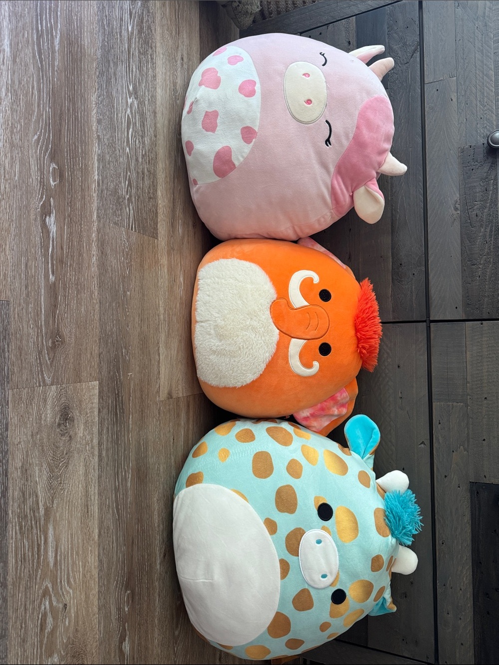 Squishmallows Pink, Orange & Aqua Plush Trio